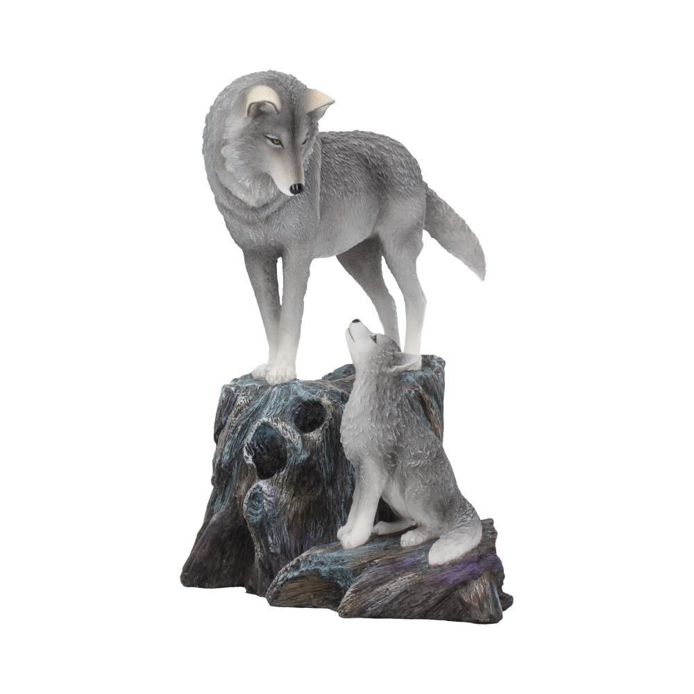 Nemesis Now - Guidance Dekorative Figur - Mehrfarben